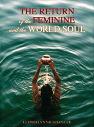 Feminine_book_cover