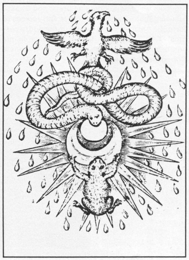 From Theatrum Chemicum Britannicum by Elias Ashmole. (London, 1652). (Photo by Oxford Science Archive/Print Collector/Getty Images), image via http://www.gettyimages.ch/detail/nachrichtenfoto/alchemical-symbolism-1652-a-toad-and-serpent-nachrichtenfoto/463916645?Language=de