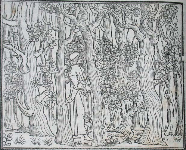 Poliphilo enters a dense and pathless forest