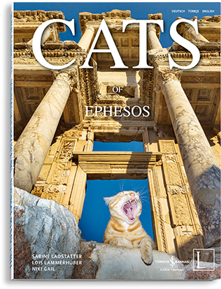 cats_of_ephesos_cover1380714390.6903