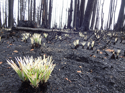 6251930001_f7a40c6ed5