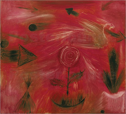 poster-rosenwind-159062