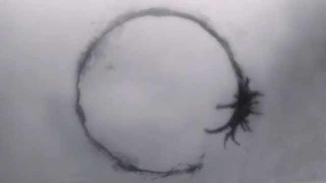 la-et-mn-arrival-movie-linguist-20161125