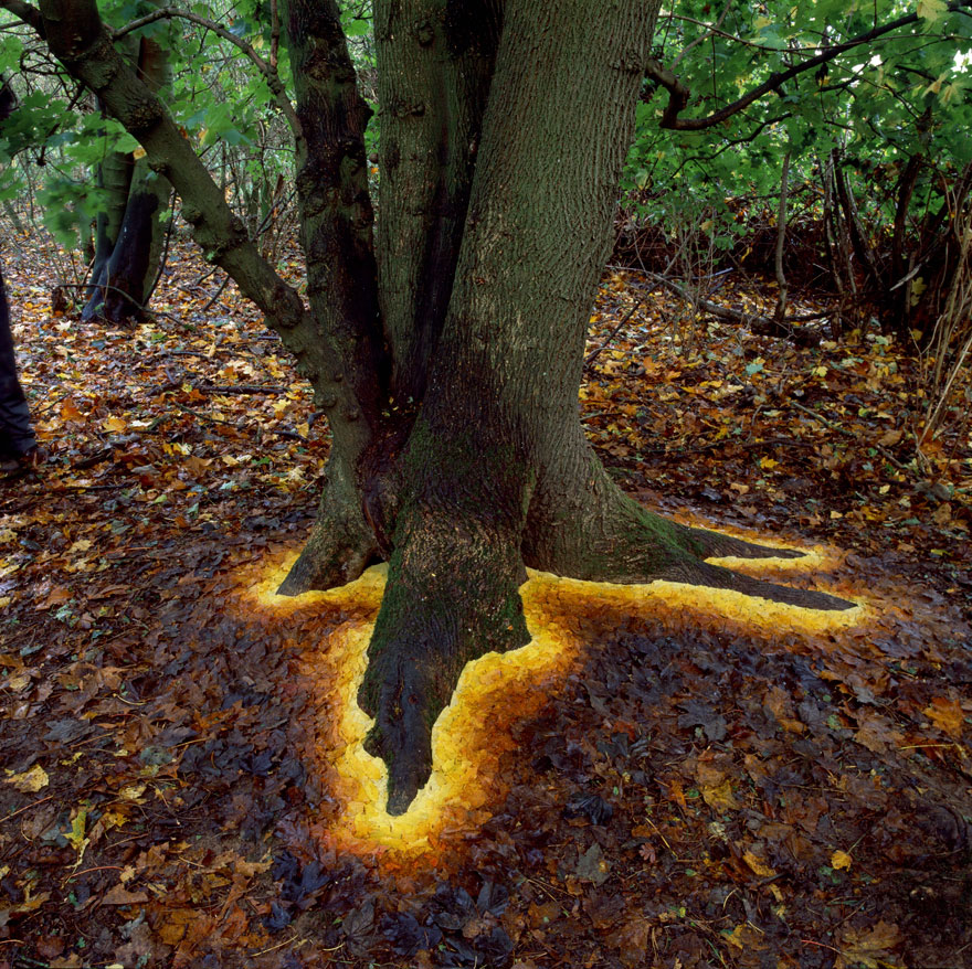 Land Art by Andy Goldsworthy – symbolreader